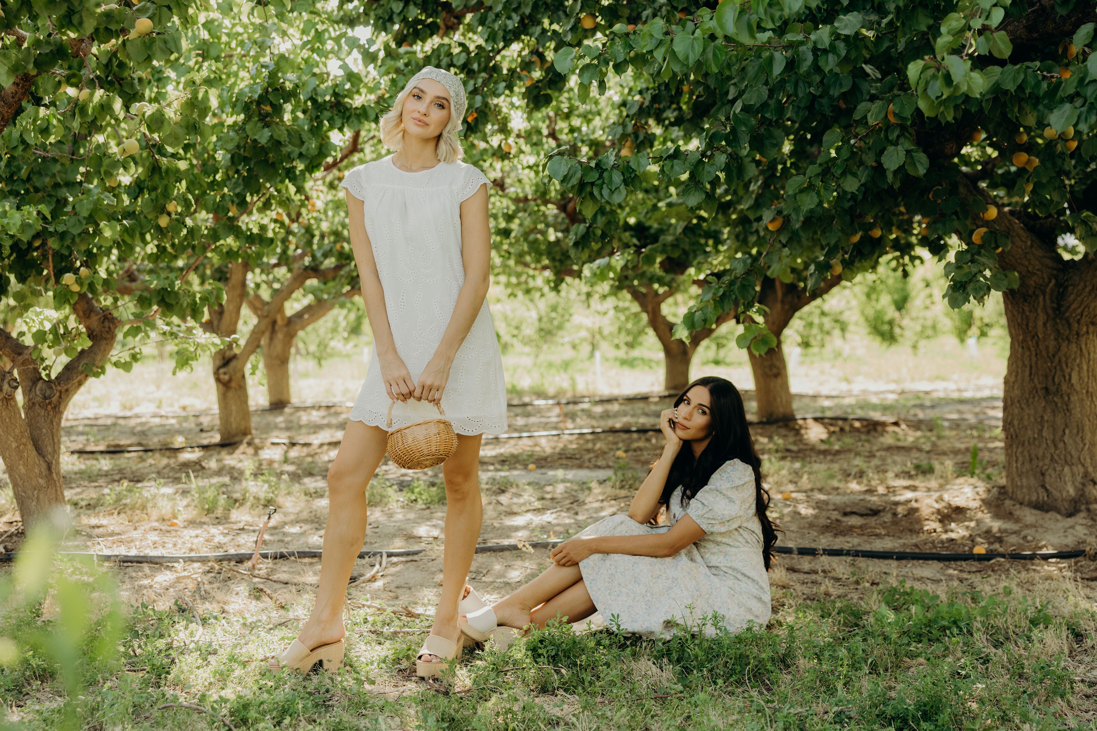 THE MILLER IN WHITE FINAL SALE