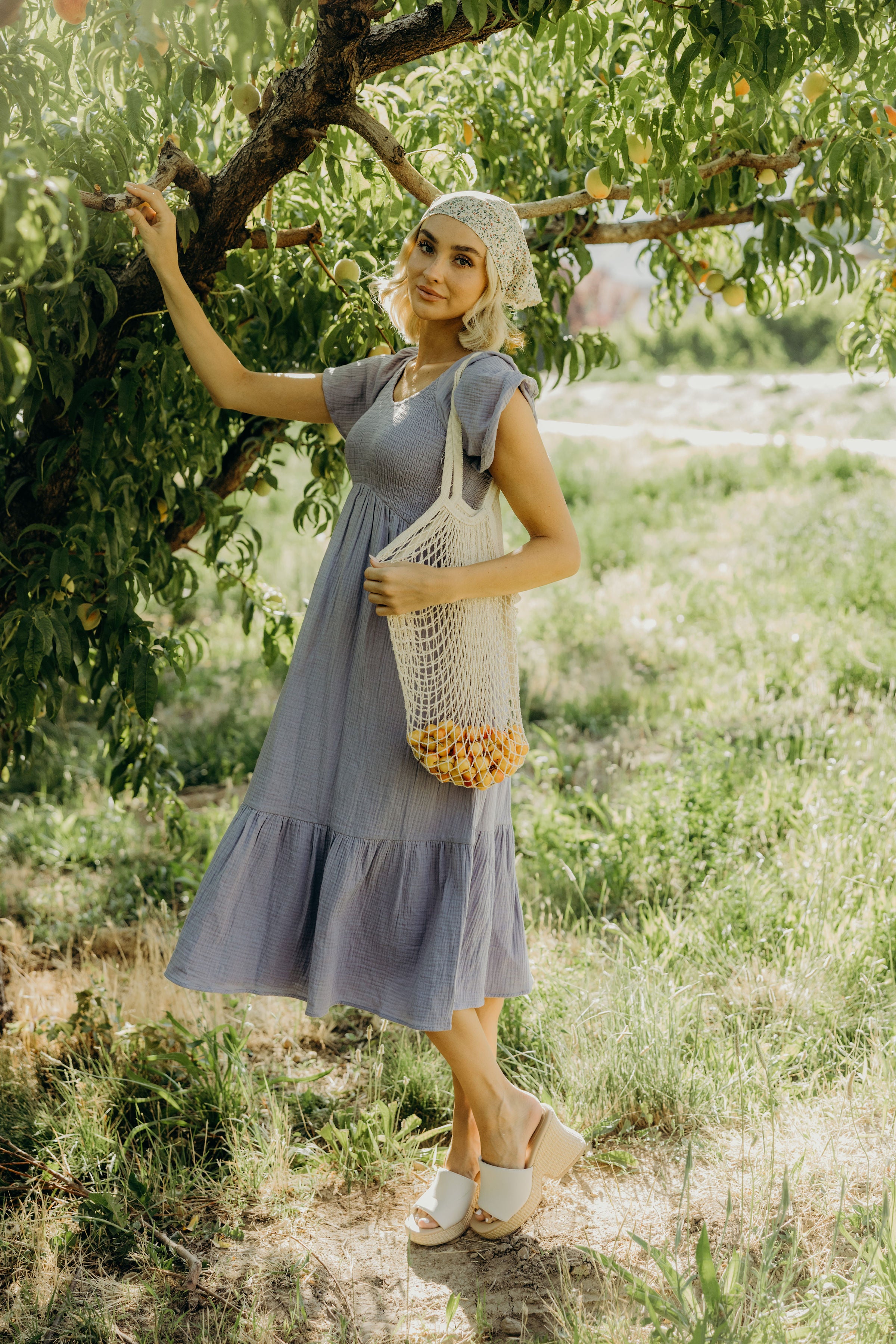 THE KENDALL IN ENCHANTED