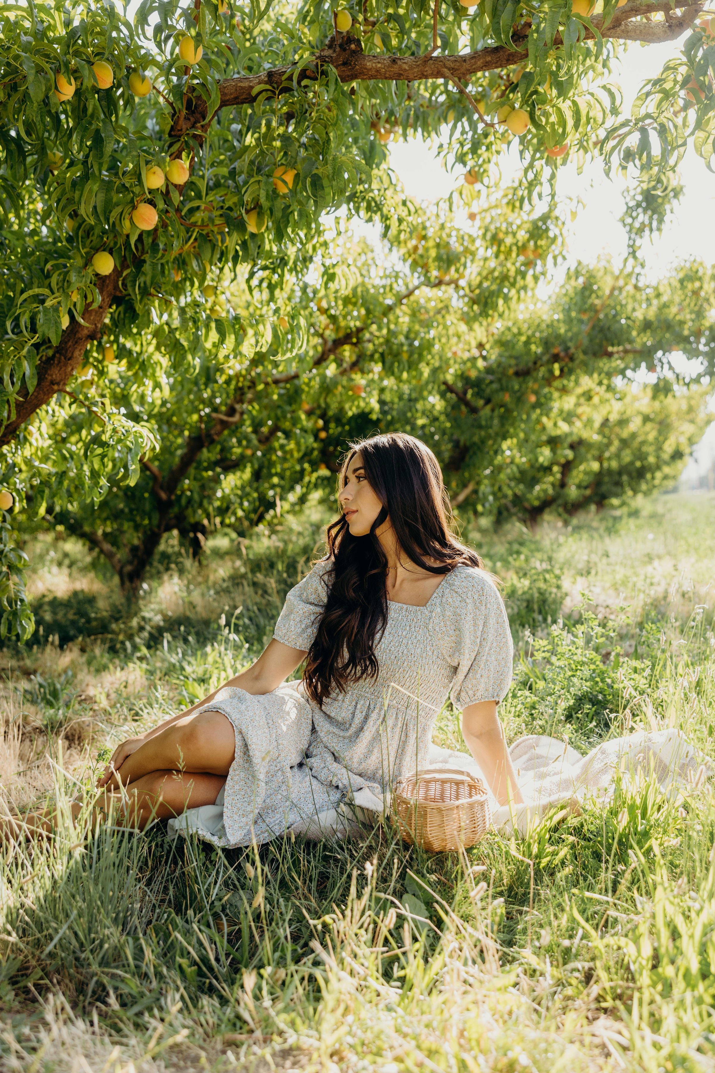 THE INDY IN HONEYBLOOM