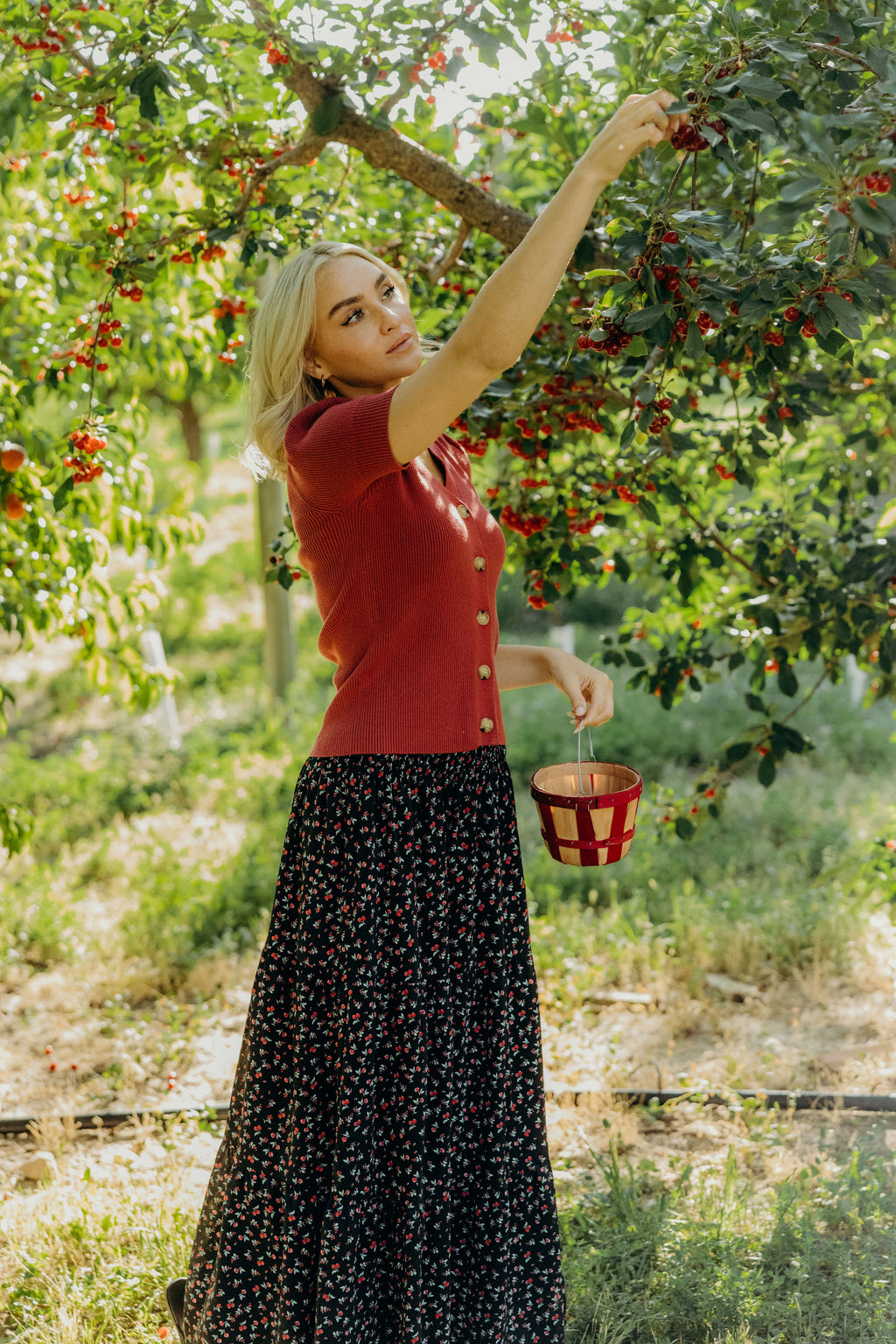 SHORT SLEEVE CARDIGAN IN RED BUD FINAL SALE