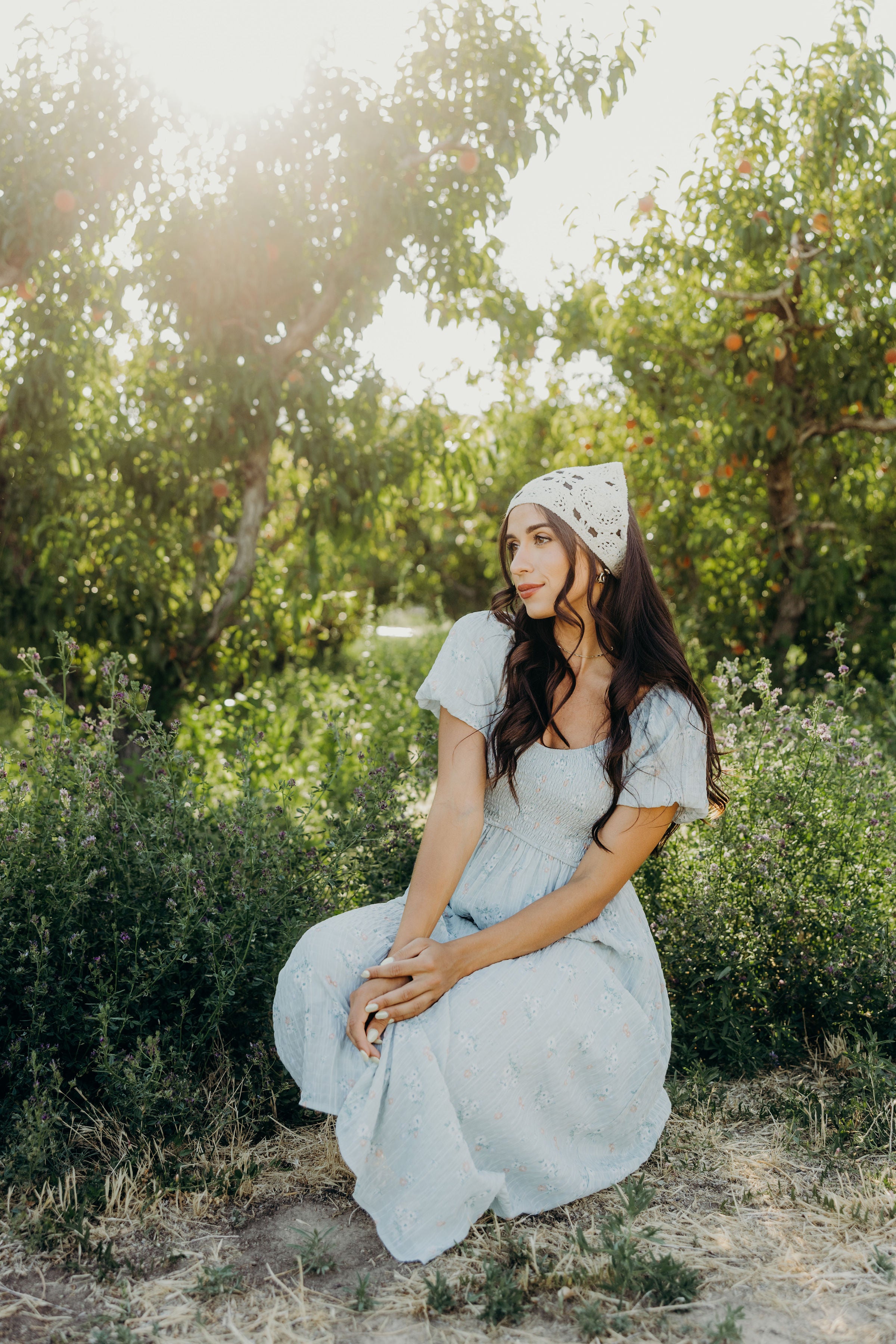 THE MILEY IN MORNING MEADOW